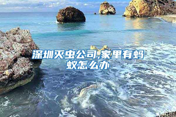 深圳滅蟲公司,家里有螞蟻怎么辦