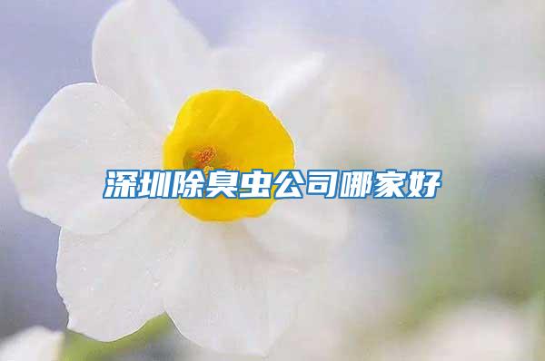 深圳除臭蟲公司哪家好