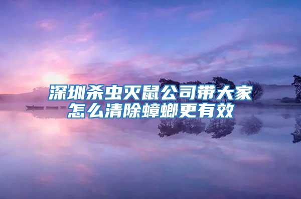 深圳殺蟲滅鼠公司帶大家怎么清除蟑螂更有效