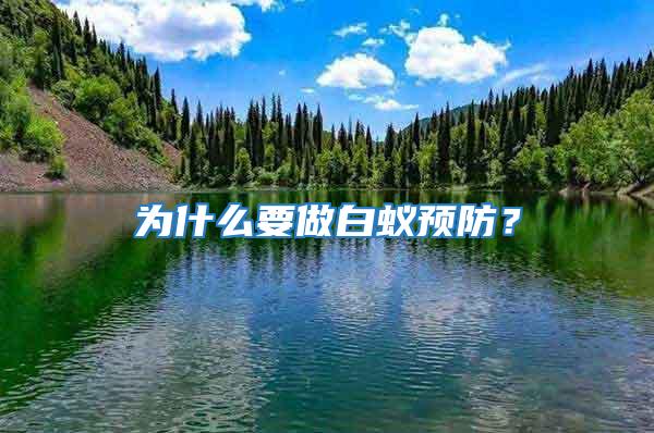 為什么要做白蟻預(yù)防？