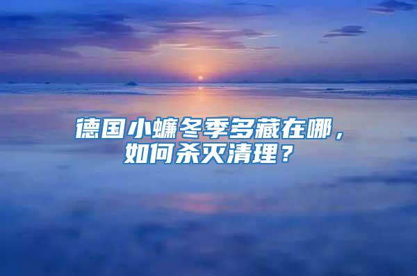 德國(guó)小蠊冬季多藏在哪，如何殺滅清理？