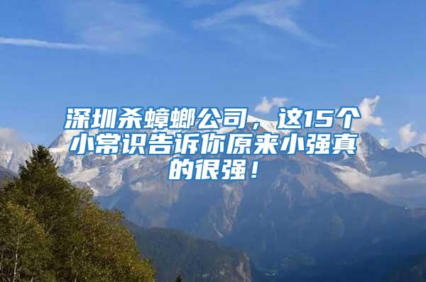 深圳殺蟑螂公司，這15個小常識告訴你原來小強真的很強！