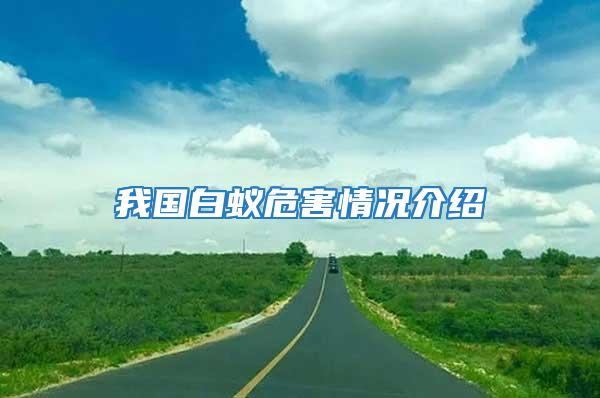 我國(guó)白蟻危害情況介紹