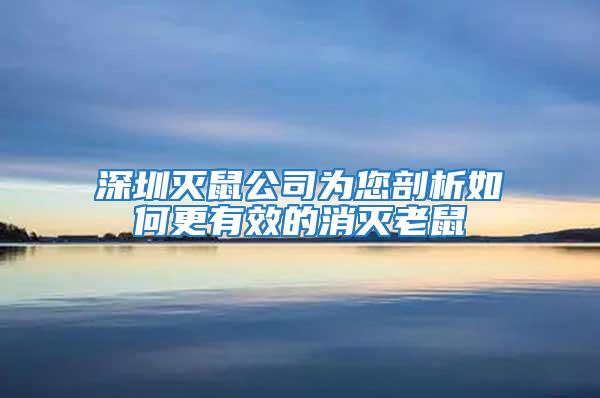 深圳滅鼠公司為您剖析如何更有效的消滅老鼠