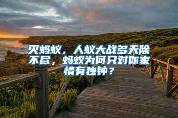 滅螞蟻，人蟻大戰(zhàn)多天除不盡，螞蟻為何只對你家情有獨鐘？