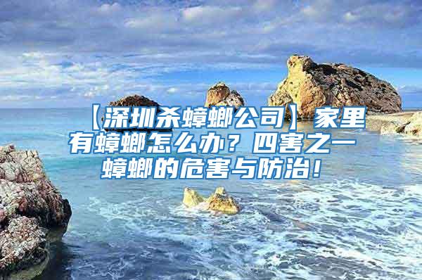 【深圳殺蟑螂公司】家里有蟑螂怎么辦？四害之一蟑螂的危害與防治！