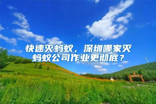 快速滅螞蟻，深圳哪家滅螞蟻公司作業(yè)更徹底？