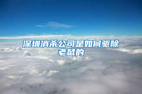 深圳消殺公司是如何驅除老鼠的