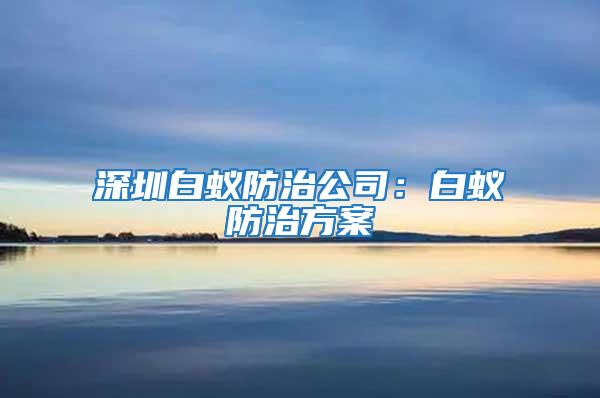 深圳白蟻防治公司：白蟻防治方案