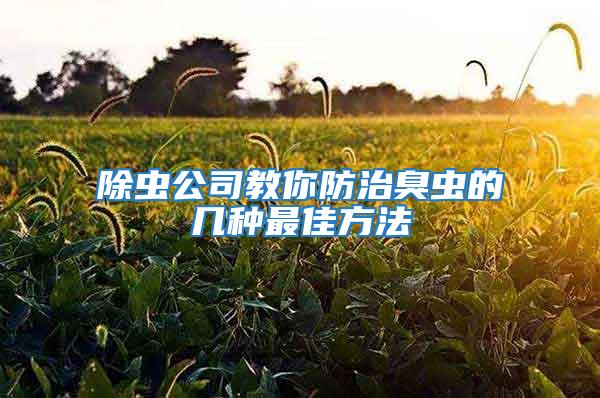 除蟲(chóng)公司教你防治臭蟲(chóng)的幾種最佳方法