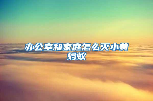 辦公室和家庭怎么滅小黃螞蟻