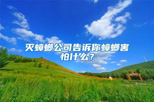 滅蟑螂公司告訴你蟑螂害怕什么？