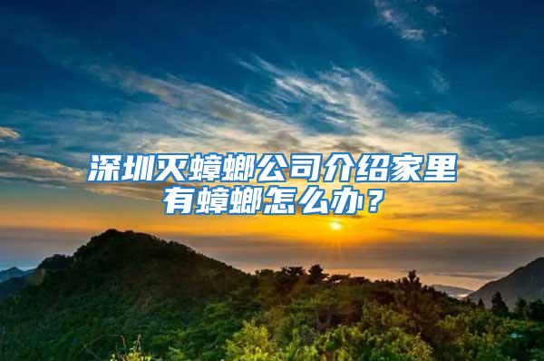 深圳滅蟑螂公司介紹家里有蟑螂怎么辦？