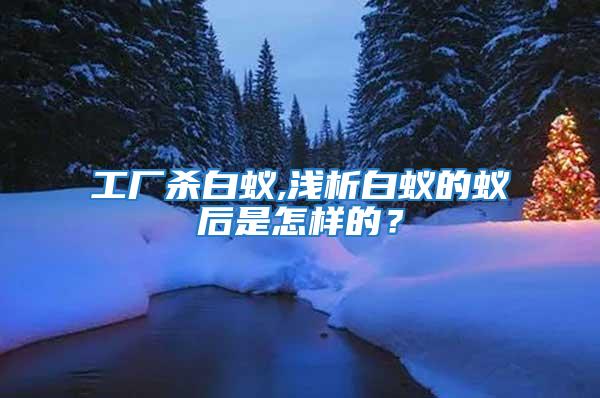 工廠殺白蟻,淺析白蟻的蟻后是怎樣的？