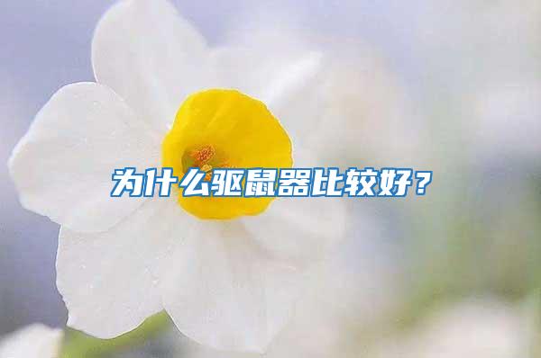 為什么驅(qū)鼠器比較好？