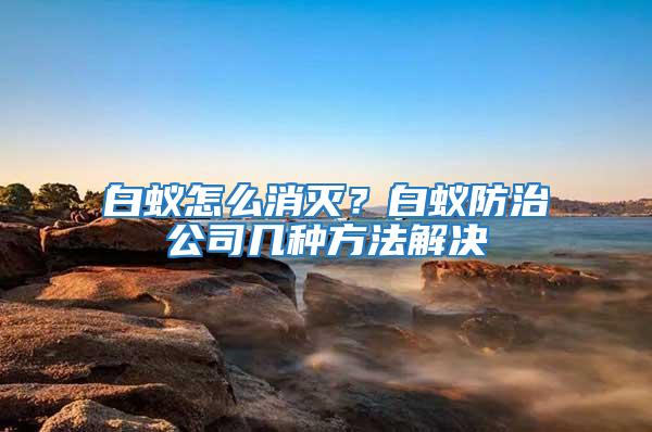 白蟻怎么消滅？白蟻防治公司幾種方法解決