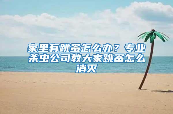 家里有跳蚤怎么辦？專業(yè)殺蟲公司教大家跳蚤怎么消滅