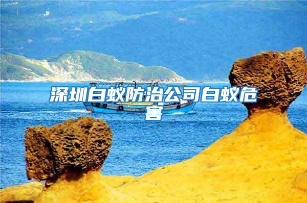 深圳白蟻防治公司白蟻危害