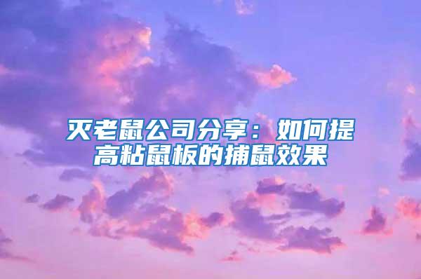 滅老鼠公司分享：如何提高粘鼠板的捕鼠效果