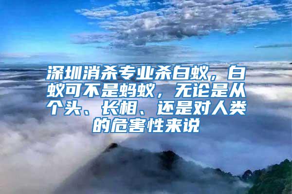 深圳消殺專業(yè)殺白蟻，白蟻可不是螞蟻，無論是從個頭、長相、還是對人類的危害性來說