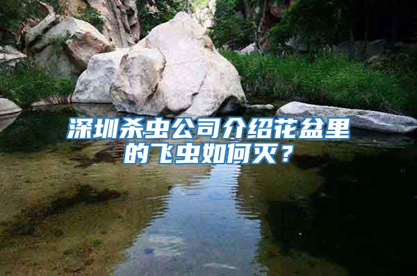 深圳殺蟲(chóng)公司介紹花盆里的飛蟲(chóng)如何滅？