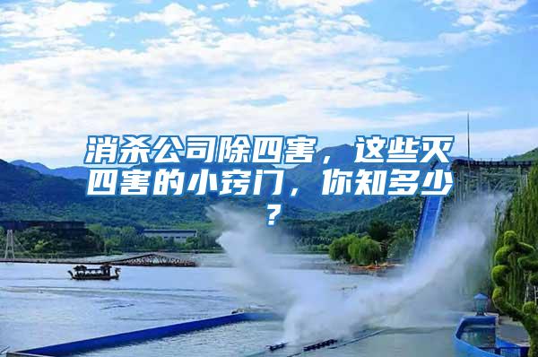 消殺公司除四害，這些滅四害的小竅門，你知多少？