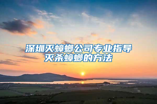 深圳滅蟑螂公司專業(yè)指導(dǎo)滅殺蟑螂的方法