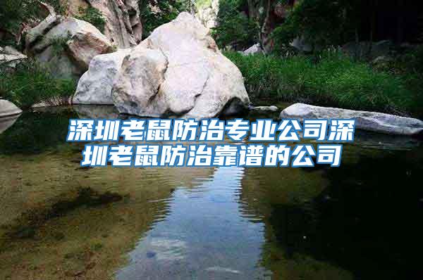 深圳老鼠防治專業(yè)公司深圳老鼠防治靠譜的公司