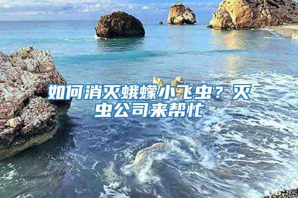 如何消滅蛾蠓小飛蟲(chóng)？滅蟲(chóng)公司來(lái)幫忙