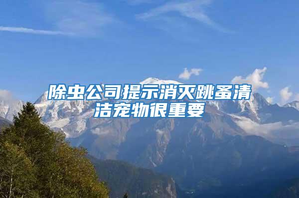 除蟲(chóng)公司提示消滅跳蚤清潔寵物很重要