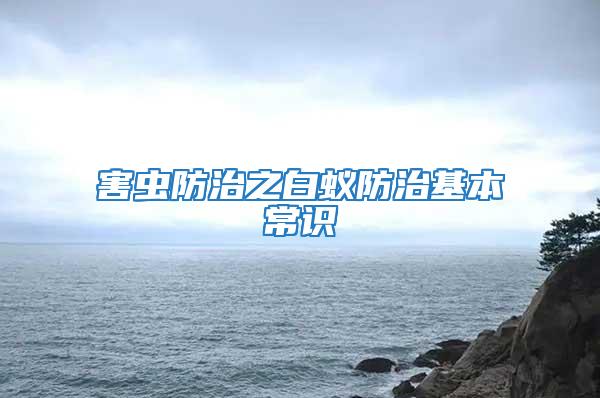 害蟲防治之白蟻防治基本常識