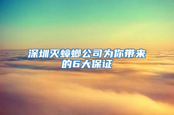 深圳滅蟑螂公司為你帶來的6大保證