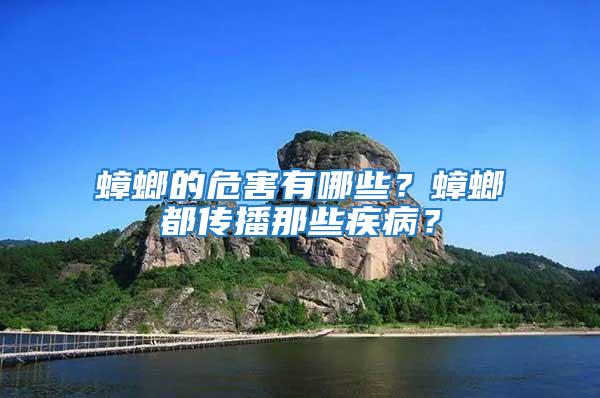 蟑螂的危害有哪些？蟑螂都傳播那些疾?。?/></p>
             <p style=