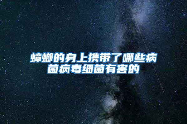 蟑螂的身上攜帶了哪些病菌病毒細(xì)菌有害的