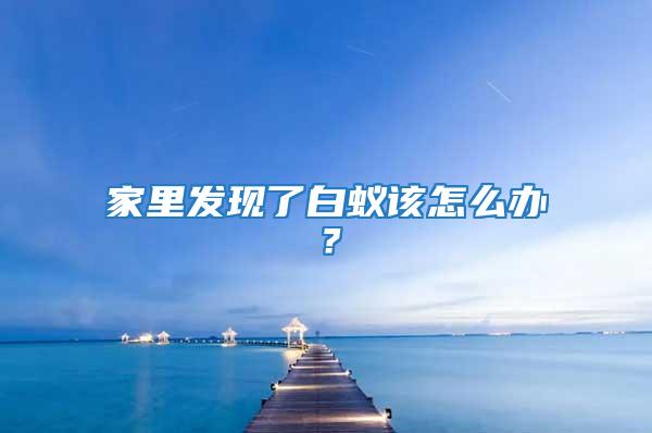 家里發(fā)現(xiàn)了白蟻該怎么辦？