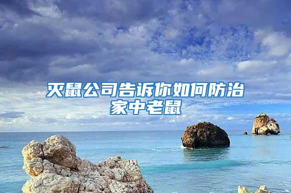 滅鼠公司告訴你如何防治家中老鼠