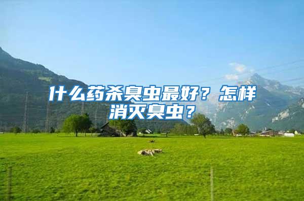 什么藥殺臭蟲(chóng)最好？怎樣消滅臭蟲(chóng)？