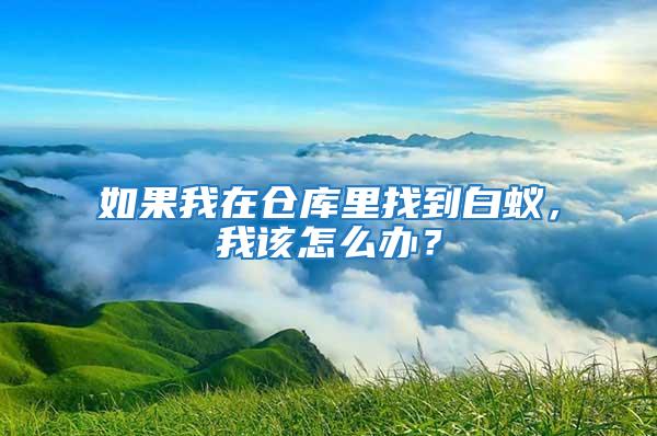 如果我在倉庫里找到白蟻，我該怎么辦？