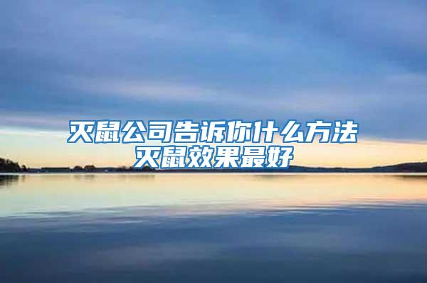 滅鼠公司告訴你什么方法滅鼠效果最好