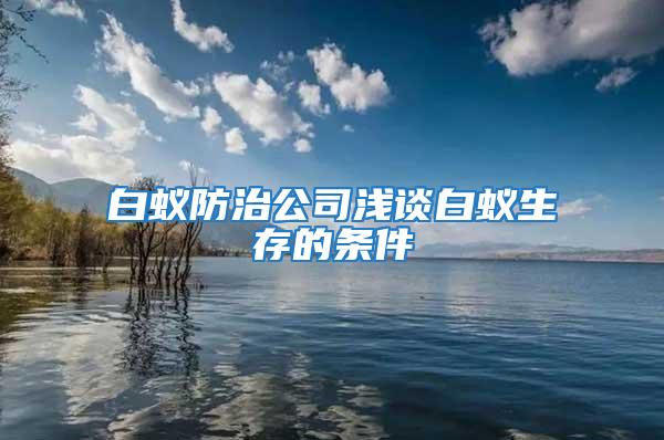 白蟻防治公司淺談白蟻生存的條件