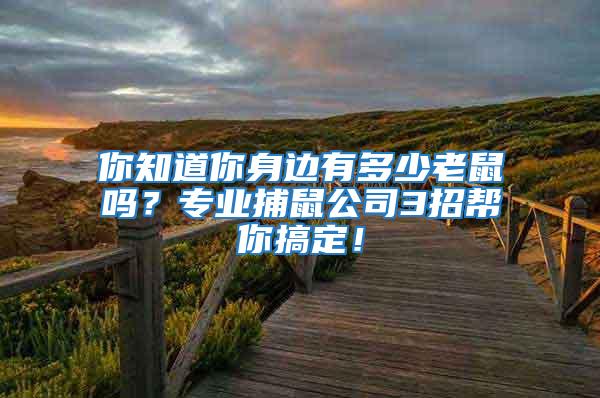 你知道你身邊有多少老鼠嗎？專業(yè)捕鼠公司3招幫你搞定！