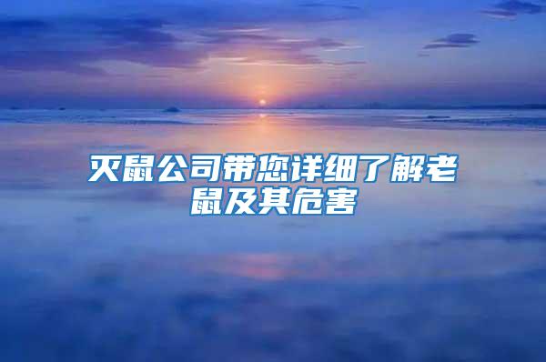 滅鼠公司帶您詳細(xì)了解老鼠及其危害