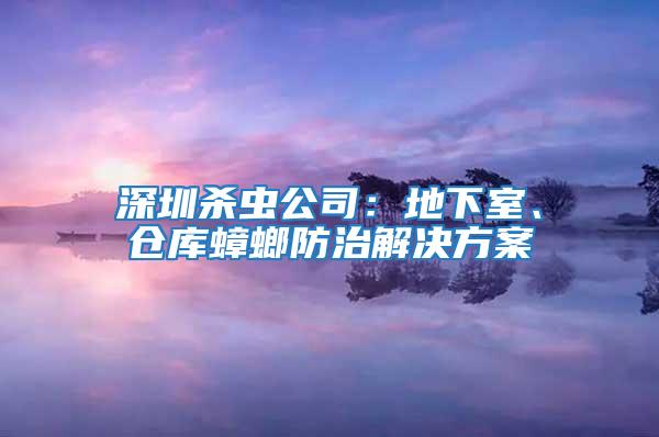 深圳殺蟲公司：地下室、倉庫蟑螂防治解決方案