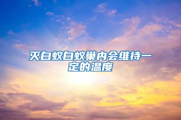 滅白蟻白蟻巢內(nèi)會維持一定的溫度