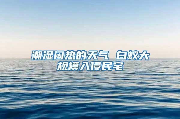 潮濕悶熱的天氣 白蟻大規(guī)模入侵民宅