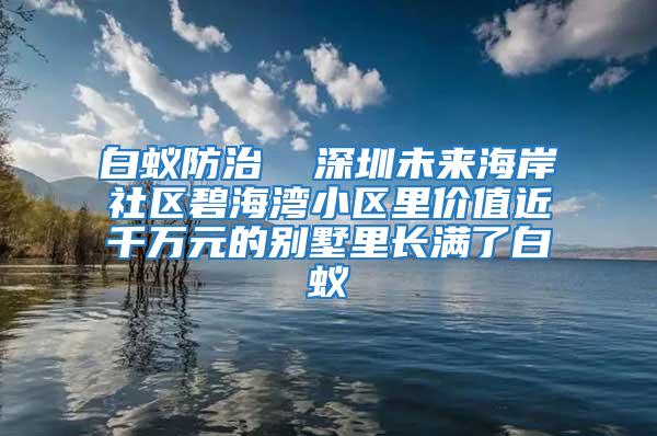 白蟻防治  深圳未來海岸社區(qū)碧海灣小區(qū)里價值近千萬元的別墅里長滿了白蟻