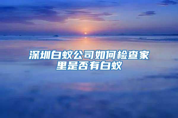 深圳白蟻公司如何檢查家里是否有白蟻