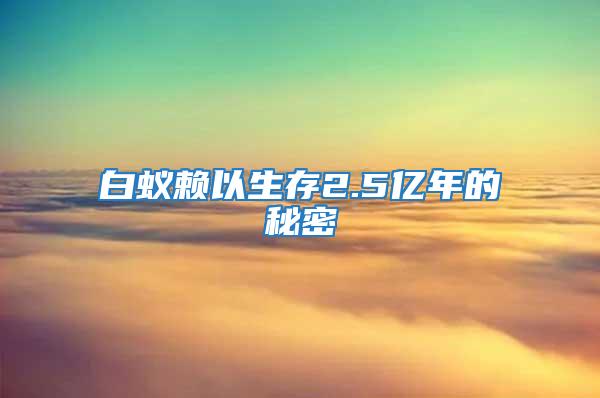 白蟻賴以生存2.5億年的秘密