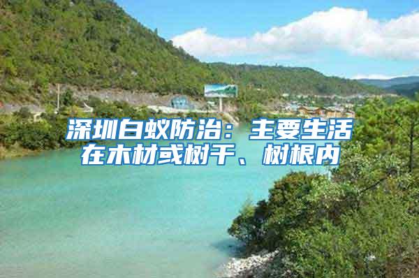 深圳白蟻防治：主要生活在木材或樹干、樹根內(nèi)