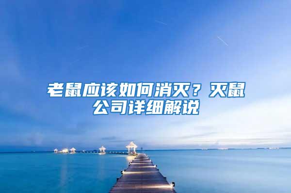 老鼠應(yīng)該如何消滅？滅鼠公司詳細(xì)解說